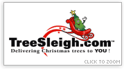 Cartoon Christmas Logo