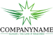 Winged Star Logo<br>Watermark will be removed in final logo.