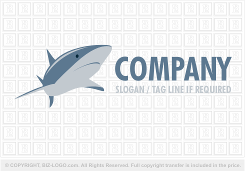 Logo 1907: Shark Logo Design