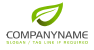 Elegant Leaf Logo Design