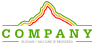 Colorful Mountain Logo