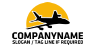 Commercial Airplane Logo