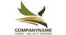 Diving Eagle Abstract Logo<br>Watermark will be removed in final logo.