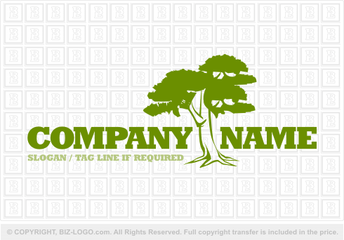 Logo 2146: Big Tree Logo