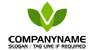 Letter V Plant Logo