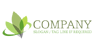 Transparent Leaves Logo