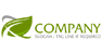 Single Leaf Logo Design