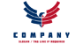 USA Eagle Logo