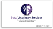 Vet Logo Example