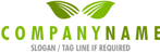 Two Leaves Logo<br>Watermark will be removed in final logo.