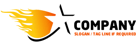 Flaming Star Logo<br>Watermark will be removed in final logo.