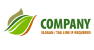 Abstract Leaf Logo