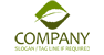 Single Leaf Logo Design