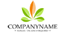 Decorative Leaves Logo