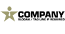 Business Star Logo