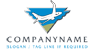 Large Commercial Jet Logo<br>Watermark will be removed in final logo.