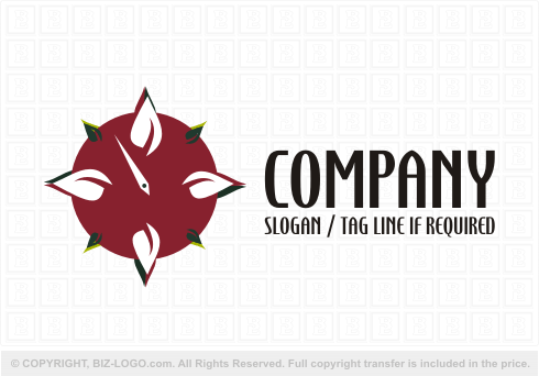 Logo 2746: Nature Compass Logo