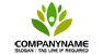 Tree Man Logo