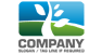 Lone Tree Logo