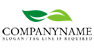 Mirrored Leaf Logo