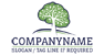 Brain Tree Logo<br>Watermark will be removed in final logo.
